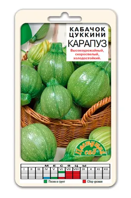 Кабачок Кавили F1 3 шт. купить оптом в Томске по цене 45,03 руб.