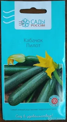 Кабачки - Сад 6 соток