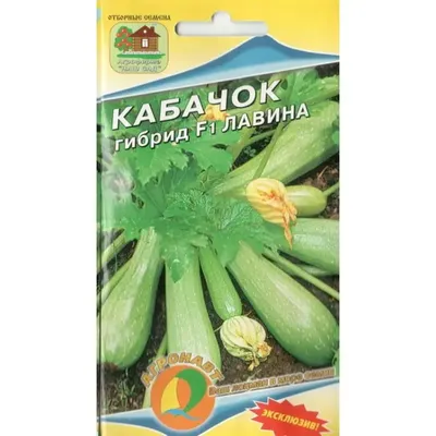 Томаты, кабачки, свекла, тыквы, салат, петрушка в ландшафтно...