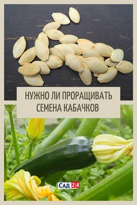 Операция по утилизации | Статьи журнала \"Сады и огороды Приморья\"