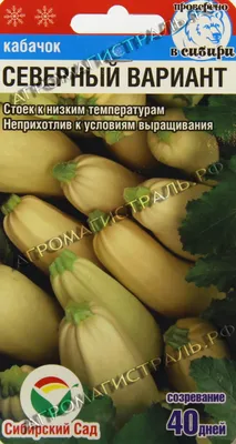 Кабачок Корнишонный Сибирский сад