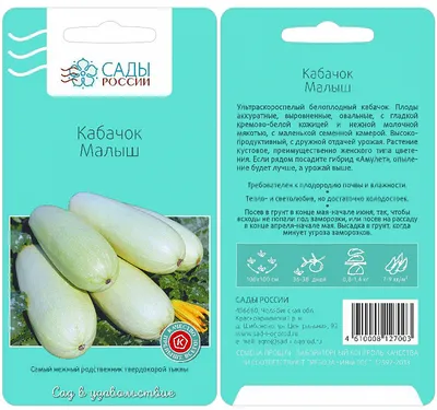Кабачки Цветущий сад ЦС Цуккини КАБАЧОК - купить по выгодным ценам в  интернет-магазине OZON (511680940)