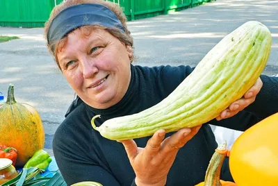 Овощи и грибы: кишер - морковь гөмбә - грибы торма - редька кабак - тыква..  | Учим татарский язык! | ВКонтакте