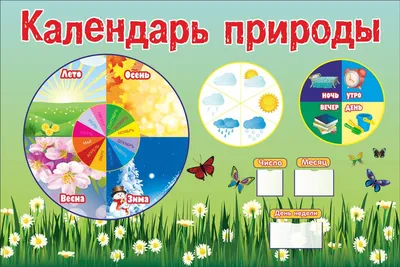 Купить дешево календарь природы