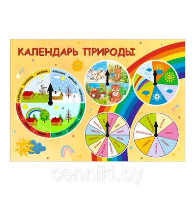 Календарь природы своими руками (5 фото). Воспитателям детских садов,  школьным учителям и педагогам - Маам.ру