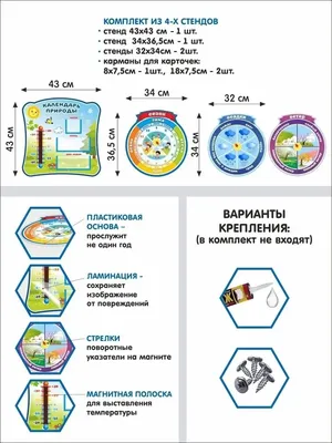 Календарь природы для детского сада Березки со стрелочками 60х80см - купить  с доставкой по выгодным ценам в интернет-магазине OZON (584722615)