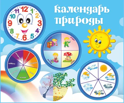 Стенд КАЛЕНДАРЬ ПРИРОДЫ СОЛНЫШКО для детского сада Альмарин 29643049 купить  за 2 315 ₽ в интернет-магазине Wildberries