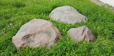 Небольшой парк «Сад камней на Оболони» в Киеве. Отзывы посетителей.