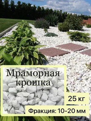 камень в саду. булыжник в парке Стоковое Фото - изображение насчитывающей  тренировка, форма: 226835674