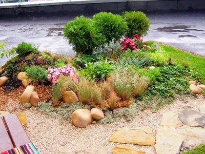Создание каменистого сада | SMS LANDSCAPE DESING