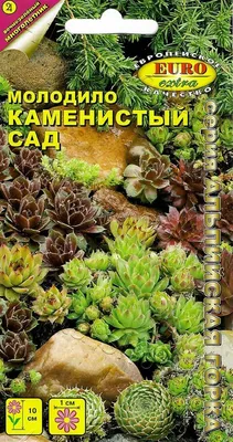 Как создать магию каменистых садов своими руками — Soncesad Как создать  магию каменистых садов своими руками — Soncesad