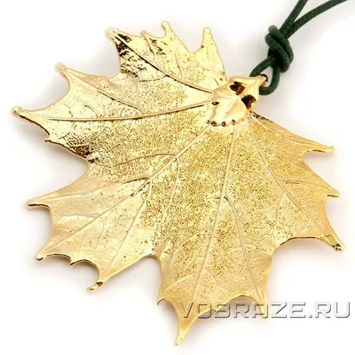 Клен канадский лист маленький