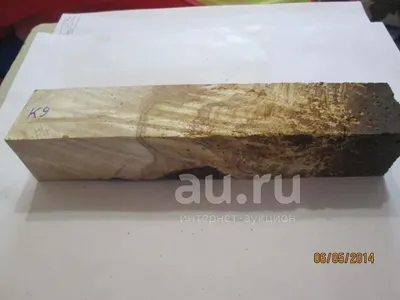 Спилы, кап, сувель березы купить со склада в СПб