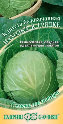 Выращивание рассады цветной капусты на теплой грядке