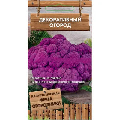 https://www.kp.ru/woman/sonnik/k-chemu-snitsya-kapusta/