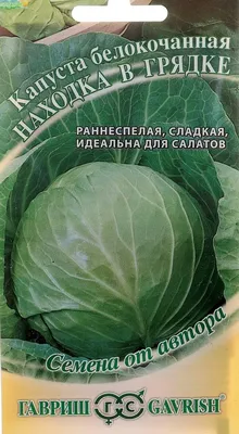 Выращивание белокочанной капусты на грядке и в открытом грунте