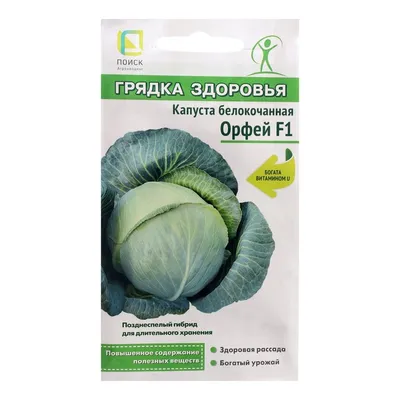 Семена Капуста белокочанная \"Находка в грядке\", 0,5 г (4122870) - Купить по  цене от 8.31 руб. | Интернет магазин SIMA-LAND.RU