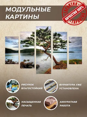 Карельская сосна, магазин мебели, Москва, поселение Московский, Киевское  шоссе, 22-й километр, дв4с1кА — Яндекс Карты