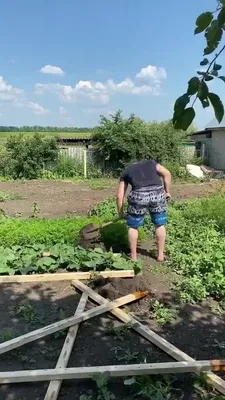 Мой сад и огород в деревне 😚. | Конструкция для огурцов. Из того что было.  | Дзен