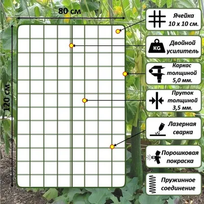 Шпалера для огурцов двойная: купить в Москве от производителя | Gryadka77