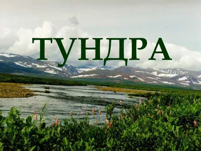 Пеший поход по тундрам Норвегии с ребенком (1 год 3 мес). Июль 2016. День 3