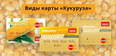 Карта Кукуруза Евросети: что это такое, зачем нужна и как оформить