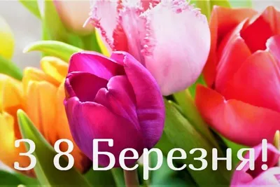 Поздравляем всех женщин с праздником 8 Марта!