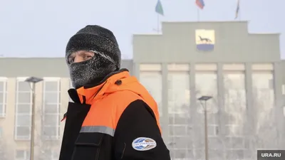 Рама для садовой тачки с двумя колёсами Geolia до 320 кг сталь по цене 3861  ₽/шт. купить в Ульяновске в интернет-магазине Леруа Мерлен