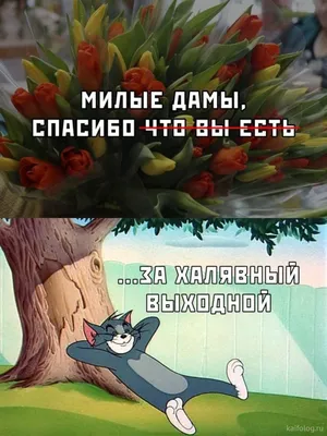 Поздравления с 8 Марта: прикольные открытки, стихи и поздравления - sib.fm