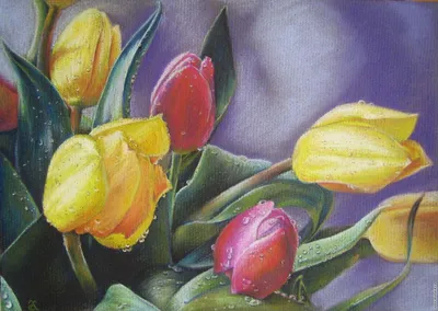 Тюльпаны на 8 марта» картина Абрамовой Анны (бумага, карандаш) — купить на  ArtNow.ru
