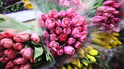 Оригинальные подарки на 8 марта — что креативного и необычного можно  подарить на Международный женский день