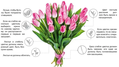 Эстрадно-цирковой концерт «С 8 марта!» | Aartyk.ru - Хроника, События и  Факты