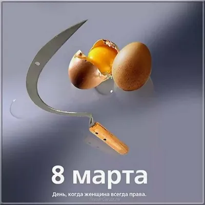 https://www.instagram.com/lenta_shymqala/p/C4BKbZ0iyR7/