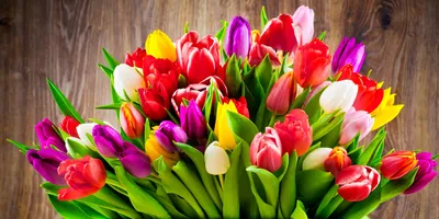 Цветы на 8 марта