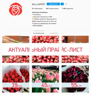8 марта - Международный Женский День! Скидки до 20%! - новости magizoo