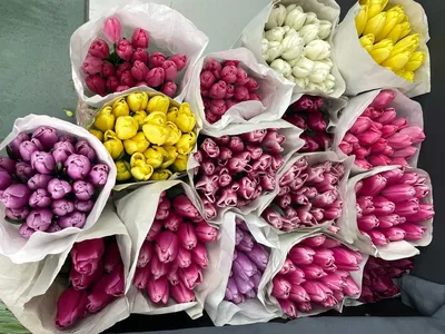 Как заработать на продаже цветов 8-го марта
