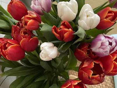 Какие цветы подарить на 8 марта