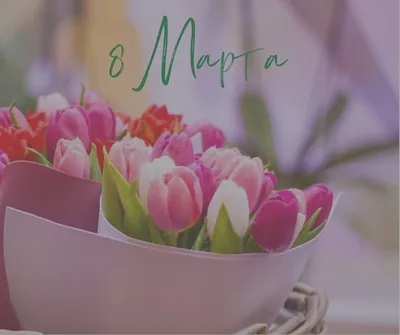 Сколько цветов дарят на 8 марта? - Laflower