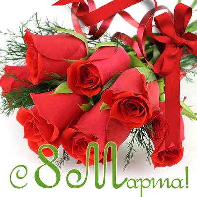 Какие цветы подарить девушке на 8 марта? - Laflower