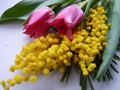 Весенние букеты и композиции на 8 марта в Москве. Тюльпаны, ирисы, пионы с  доставкой.
