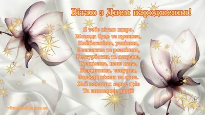 Подарункові Шкарпетки в Банці. День Народження. Подарунок Батькові Матері  Брату Сестрі Дітям Другу Подрузі — Купить на BIGL.UA ᐉ Удобная Доставка  (1832979828)