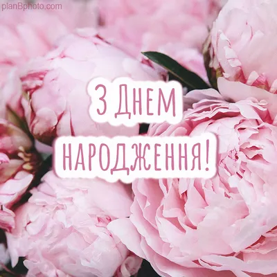 Привітання жінці З Днем Народження 2023 - Побажайко