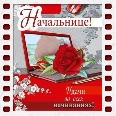 Поздравление руководителю в прозе: открытки с днем рождения женщине -  инстапик | С днем рождения, Поздравительные открытки, Открытки