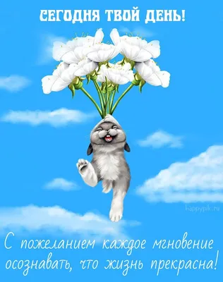 Прикольные поздравления сестре — ChaVo_klub | С днем рождения, Открытки,  Сестренки