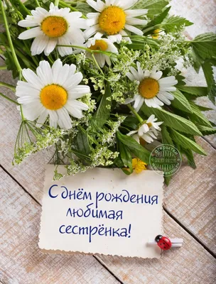 Оригинальное изображение старшей сестре к её дню рождения - С любовью,  Mine-Chips.ru