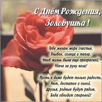 поздравления на день рождения золовке｜Búsqueda de TikTok