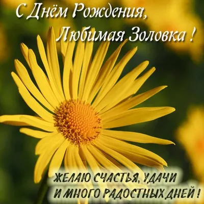 Поздравления Золовке от Путина с Днём Рождения, музыкальные, голосовые на  телефон!