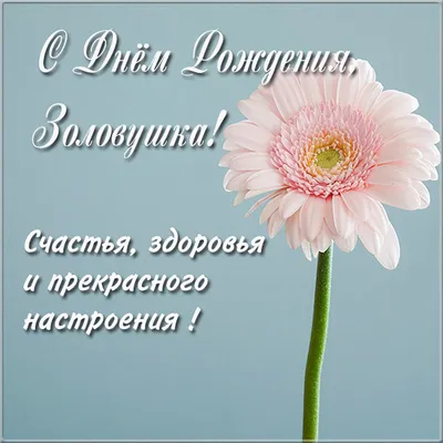 Картинка с днем рождения любимой золовке (скачать бесплатно)