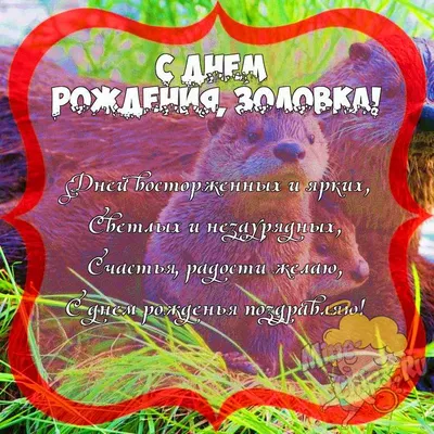 С днем рождения, золовка!!! | TikTok