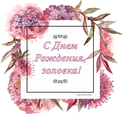 Смешные картинки с днем рождения золовке, бесплатно скачать или отправить